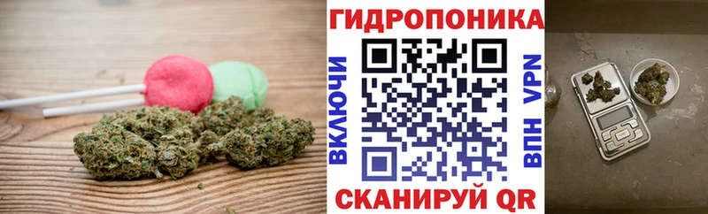 цена   Красноуфимск  Canna-Cookies конопля 